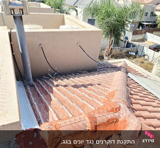 התקנת דוקרנים נגד יונים בגג.
